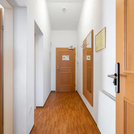 Rosa-1 By Interhome Apartment Mayrhofen