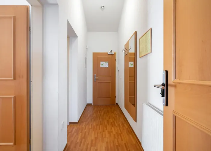 Rosa-1 By Interhome Appartement Mayrhofen